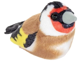 Maskotka Szczygieł z dzwiękiem - Ranok-Creative