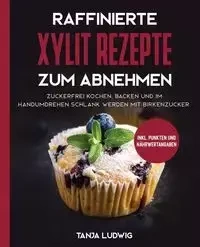Raffinierte Xylit Rezepte zum Abnehmen - Tanja Ludwig