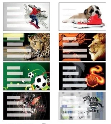 Naklejki na zeszyt Boys 24szt. - Panta Plast