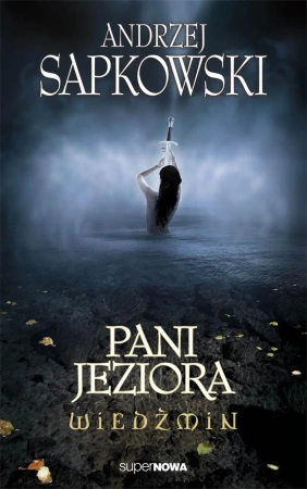 eBook Wiedźmin. Pani Jeziora - Andrzej Sapkowski epub