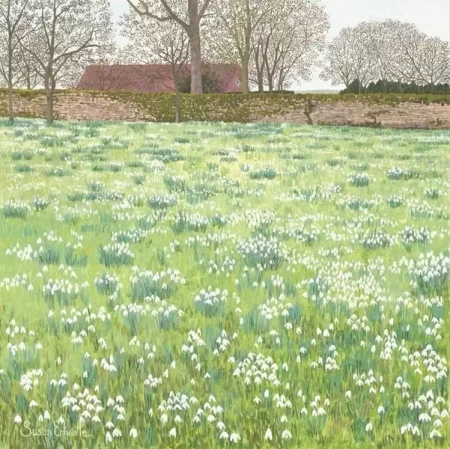 Karnet z kopertą Śnieżyczki - Susan Entwistle