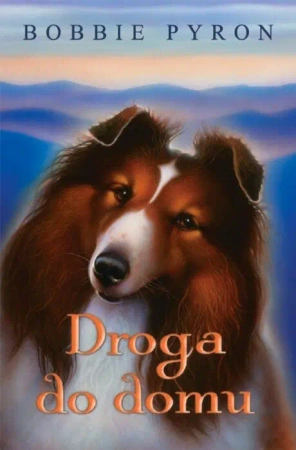 eBook Droga do Domu - Bobby Pyron epub mobi