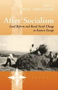 After Socialism - Abrahams Ray