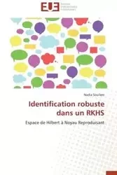 Identification robuste dans un rkhs - SOUILEM-N