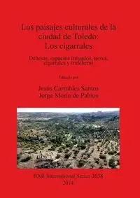 Los paisajes culturales de la ciudad de Toledo - Santos Carrobles Jesús