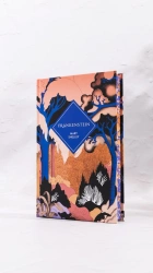 Frankenstein. Vintage Collector's Classics - Mary Shelley