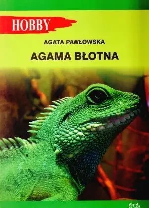 Agama błotna - Agata Pawłowska