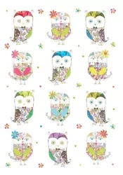 Karnet B6 + koperta Sówki - Turnowsky