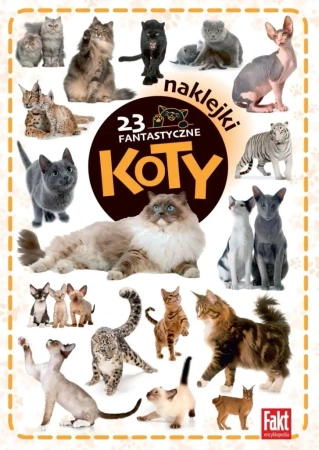 23 fantastyczne koty - praca zbiorowa