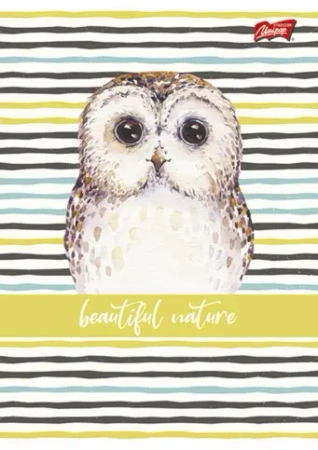 Paczka Zeszyt A5 16k trzylinia kolorowa dziewczęcy pakiet 15 sztuk - ST-Majewski