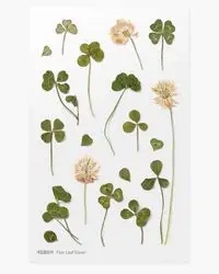 Naklejki ozdobne kwiaty Koniczyna - Appree