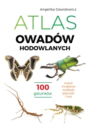 Atlas owadów hodowlanych - Angelika Dawidowicz
