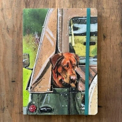 Notatnik z gumką A5 LCN34 Rudy labrador - Alex Clark