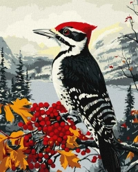 Malowanie po numerach - Dzięcioł na gałęzi 40x50cm - Ideyka