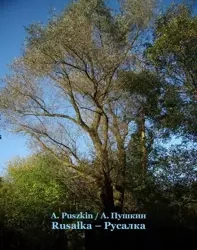 eBook Rusałka. Русалка - Aleksander Puszkin epub mobi