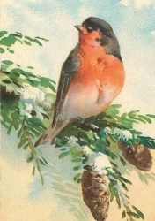 Karnet ST440 B6 + koperta Gil Święta BN - Skona Ting