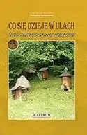 Co się dzieje w ulach - Michalina Stefanowska