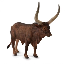 Byk ankole-watusi - Collecta