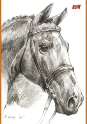 Szkicownik A4 20 kartek PAKIET 10 sztuk - Unipap