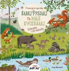 Żabki i psiaki. Te małe zwierzaki - Sibylle Schumann, Lucy Barnard, dr Magdalena Jało