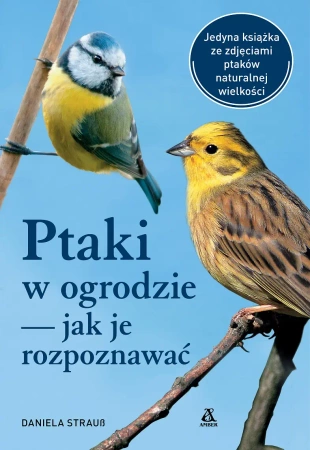 Ptaki w ogrodzie jak je rozpoznawać - Daniela Strauss
