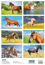 Naklejki konie - LITERAT
