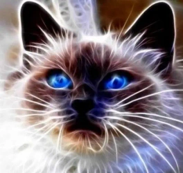 Diamentowa mozaika kot magic niebieskie oczy NO-1007109 - Norimpex