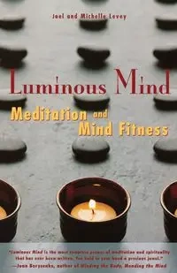 Luminous Mind - Joel Levey