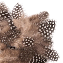 Piórka przepiórcze 5-12 cm 5g - Dalprint