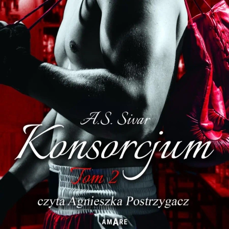 audiobook Konsorcjum. Tom II - A.S. Sivar