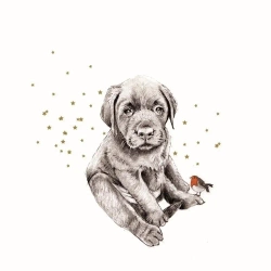 Karnet Swarovski kwadrat Piesek i ptaszek - Clear Creations