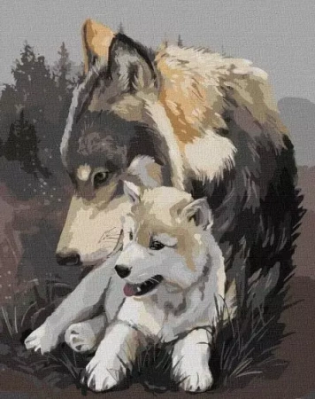 Malowanie po numerach - Wilcza delikatność 30x40cm - Ideyka