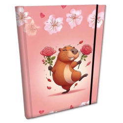 Notes B6 kratka z gumką Soft Touch Dancing Queen - EV-Corp