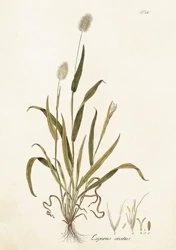 Karnet ST417 B6 + koperta Dmuszek jajowaty - Skona Ting