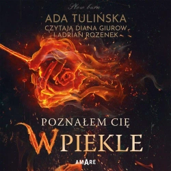 audiobook Poznałem Cię w piekle - Ada Tulińska