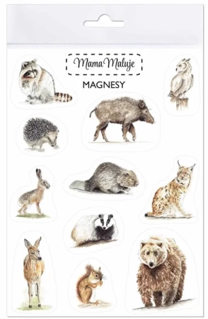 Magnesy Zwierzęta leśne - Mama Maluje