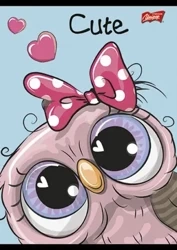 Paczka Zeszyt A5 16k kratka dziewczęcy pakiet 15 sztuk - ST-Majewski