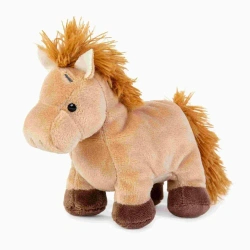 Przyjaciel niebieskiego noska Kucyk Dancer - Carte Blanche Greetings Ltd.