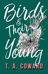 Birds and Their Young - Coward T. A.