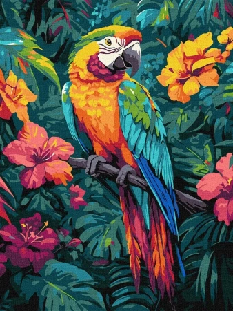 Malowanie po numerach - Tropikalny ptak 30x40cm - Ideyka