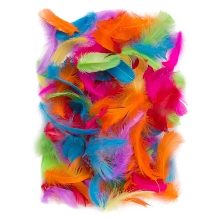 Piórka 5-12cm 10g brights - Dalprint