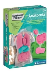 Naukowa Zabawa. Anatomia - Clementoni