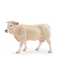Krowa Blonde d'Aquitaine - PAPO