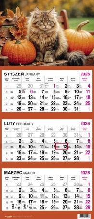 Kalendarz 2026 Trójdzielny Kot - O-press