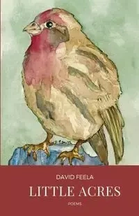 Little Acres - David Feela
