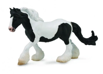 Klacz cygańska łaciata - Collecta