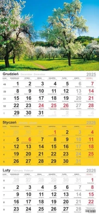 Kalendarz 2026 trójdzielny Sad - praca zbiorowa