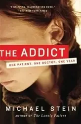 The Addict - Michael Stein