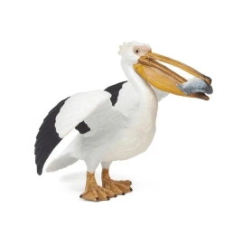 Pelikan - PAPO
