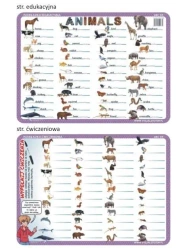 Podkładka edu. 04 - Animals - język angielski - Visual System